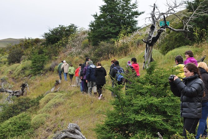 Torres Del Paine Full Day Overland Truck 4x4 From El Calafate - Transportation and Routes