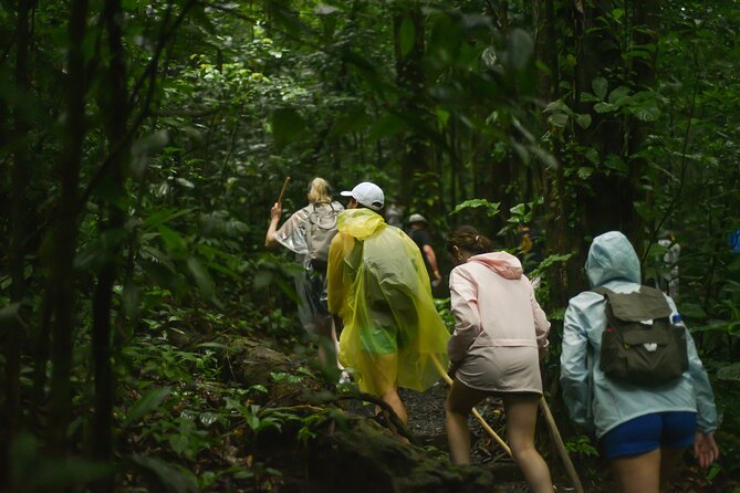 Tropical Rainforest, Hanging Bridges And Jungle Sloths Sanctuary - Exceptional Customer Experiences and Feedback