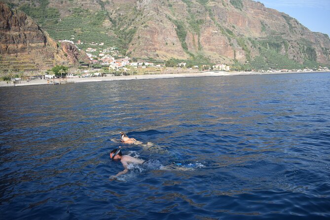 Whale and Dolphin Watching Tour in Madeira - Booking and Confirmation Details