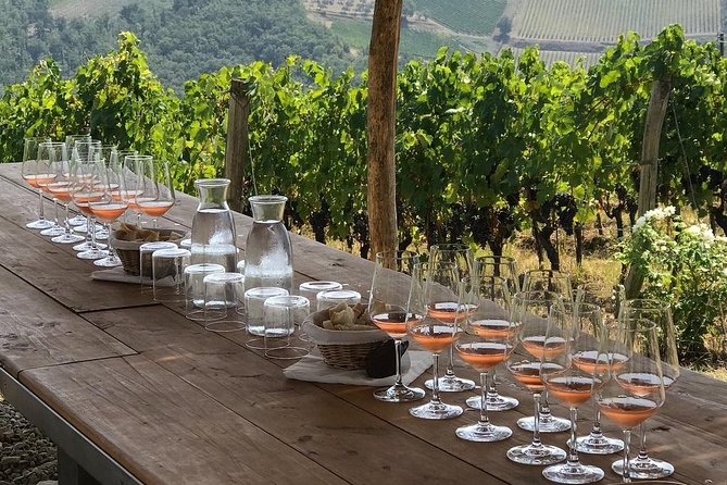 Wine Safaris: off Road Tuscany Wine Tours and Lunch From Florence - Exploring Tuscan Wine Culture and Lifestyle