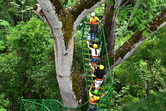 Zipline at Skyline Canopy Tour Guanacaste Costa Rica - Pickup and Transportation Services