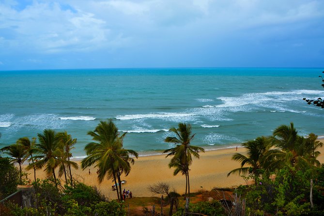 1 Day Tour to Pipa Beach / RN - Departing From Natal / RN - Boat Trip at Baía Dos Golfinhos