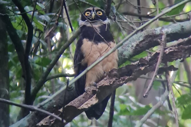 2-3-Hour Manuel Antonio Park Nature Guided Tour - Booking and Cancellation Policy