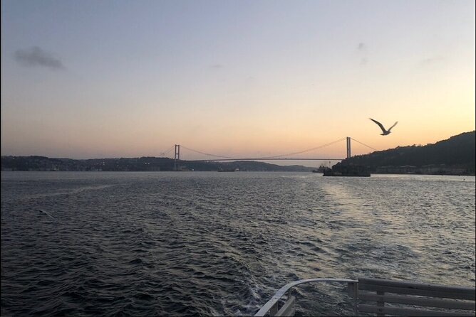 3 Hours Bosphorus Boat Cruise With Stop in Asia Side - Accessibility and Limitations