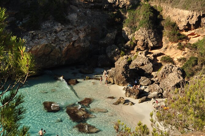 A Unique Experience on the Best Beaches and Coves of Mallorca - Exploring Hidden Beaches and Coves