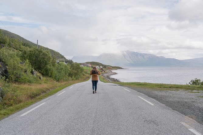 Arctic Roadtrip: Fjords With Scenic Picnic | Sightseeing - Traveler Experiences and Feedback