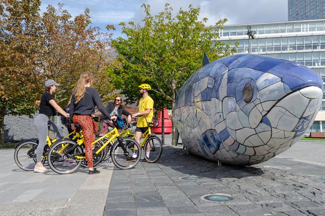 Belfast Bike Tours - Accessibility and Suitability