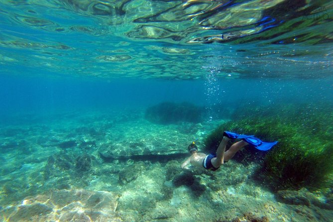 Cabo De Gata Active. Guided Kayak and Snorkel Route Through the Coves of the Natural Park - The Wonders of Snorkeling in the Natural Park