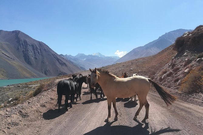 Cajon Del Maipo Including Wine With Picnic and Empanada - Visiting Casa Chocolate Tienda Boutique