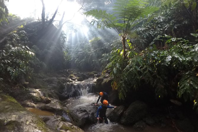 Canyoning Experience at Ribeira Grande - Reviewer Highlights