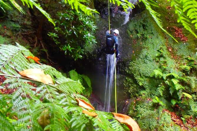 Canyoning Madeira Island - Level One - Booking and Cancellation Policies