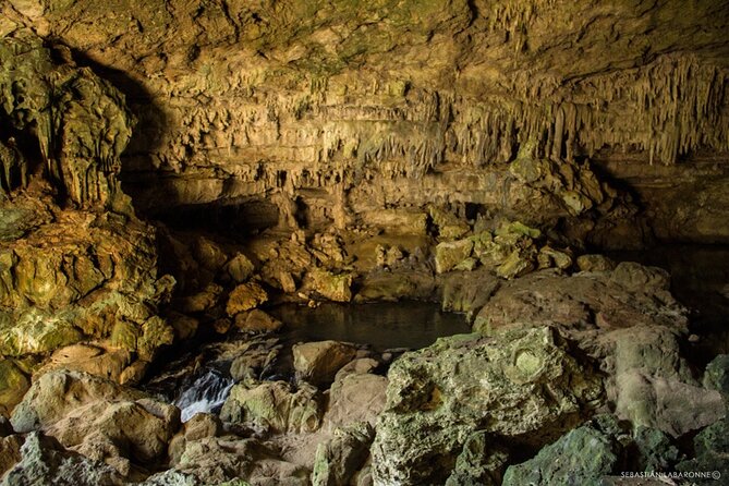 Caracol Maya Ruins Tour Including Rio On Pools, Rio Frio Cave and a Picnic Lunch - Recommendations and Additional Information