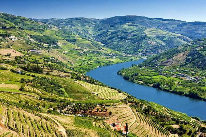 Complete Douro Valley Wine Tour With Lunch, Wine Tastings and River Cruise - Exploring the Douro River