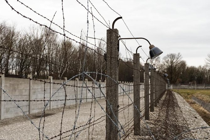 Dachau Tour From Munich - Accessibility and Group Size