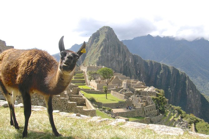 Day Trip Tour to Machu Picchu From Cusco - Transportation and Accessibility