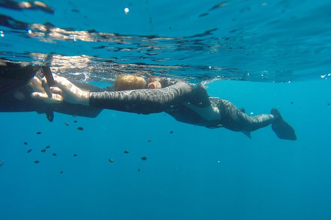 Discover Freediving Course - Booking and Cancellation Policies