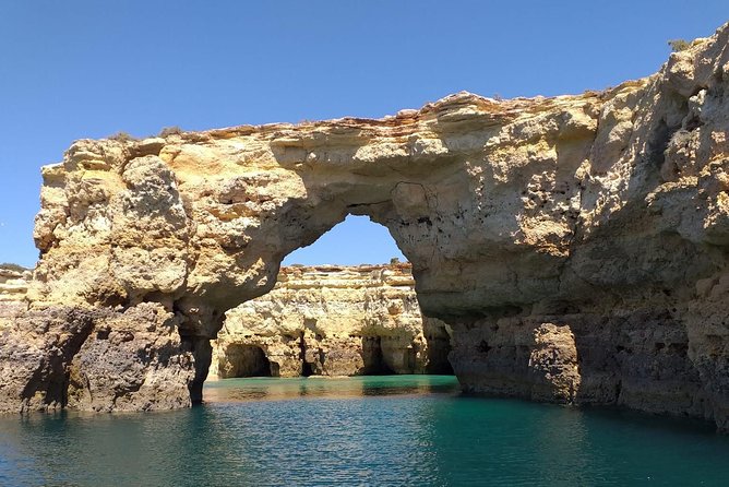 Dolphins and Benagil Caves From Albufeira - Educational Aspects