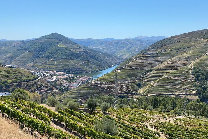 Douro Valley 3 Wine Experiences With Lunch & Optional Boat Cruise - Meeting Point and Transportation