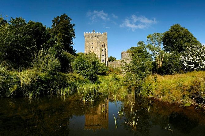 Dublin to Rock of Cashel, Cork City & Blarney Castle Guided Tour - Blarney Castle and the Gift of Gab