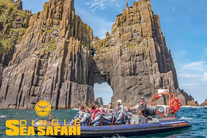 Exhilarating Rib Experience - Dingle Sea Safari - Highlights of the Scenic Tour