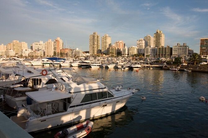 Full Day Punta Del Este - Guide Performance and Communication