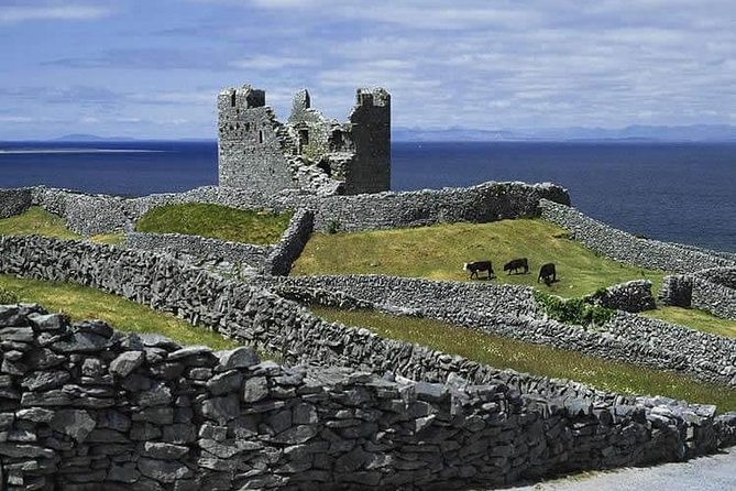 Galway to Aran Islands Inisheer, Doolin, Cliffs of Moher Day Tour - Traveler Experiences and Recommendations