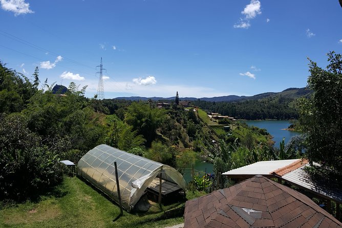 Guatapé & Coffee Farm, All in One Day - Climbing Guatapé Rock