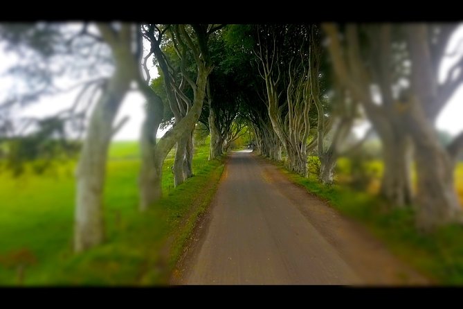 Guided Day Tour of Giants Causeway From Belfast by Comfortable Coach - Included Services and Amenities