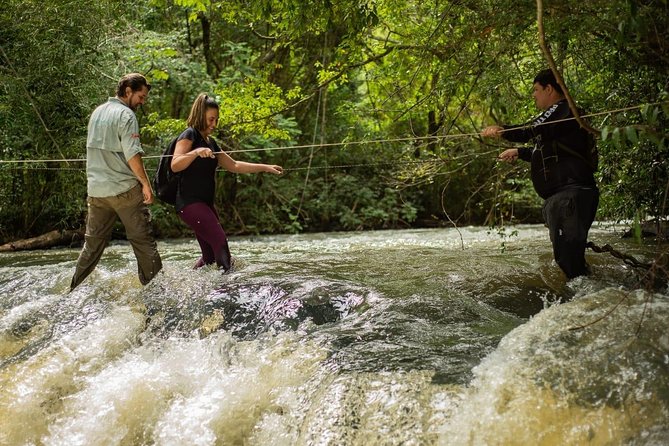 Hike Through Secret Waterfalls in Foz Do Iguaçu (Part-Time - Morning) - Accessibility and Participation Requirements