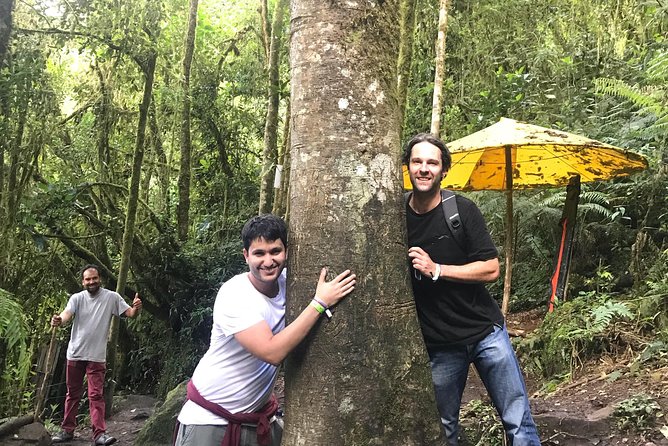 Hike to the Highest Colombian Waterfall! (La Chorrera and Chiflon) - The Hike to La Chorrera Waterfall