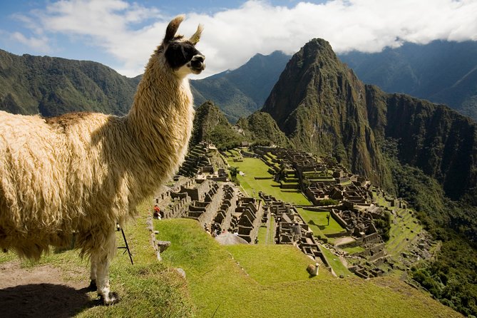 Machu Picchu Private Guided Tour From Aguas Calientes - Accessibility and Participation