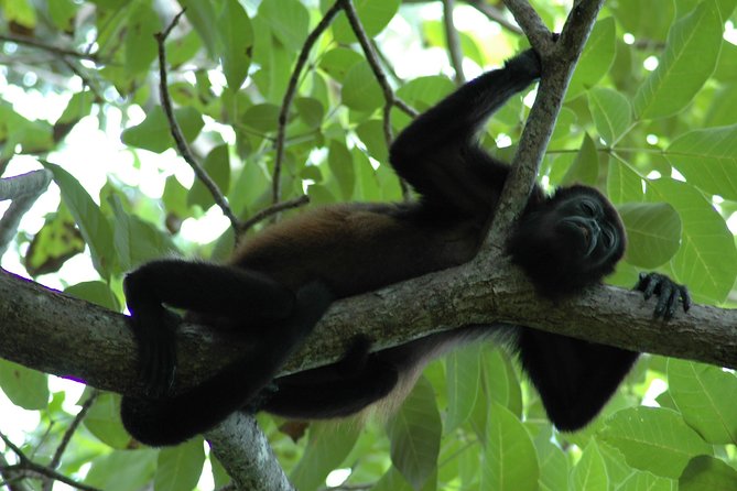 Manuel Antonio National Park Hiking Tour - What to Bring and Wear