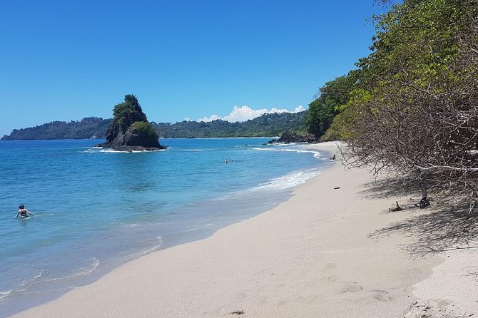 Manuel Antonio National Park Sightseeing and Wildlife Day Tour From San Jose - Discovering Jaco Beach Lookout