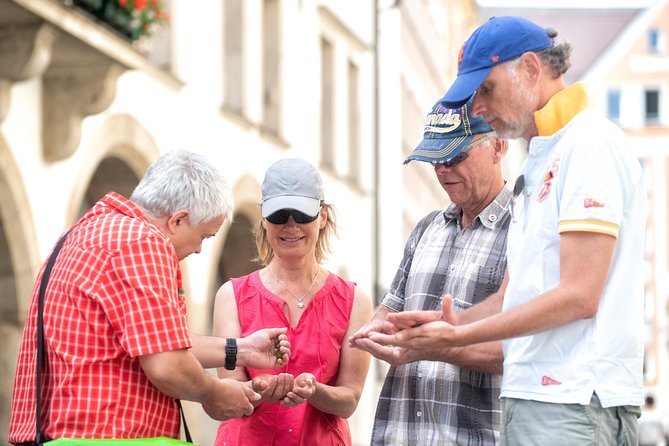 Munich Old Town Walking Tour - Guest Reviews and Feedback