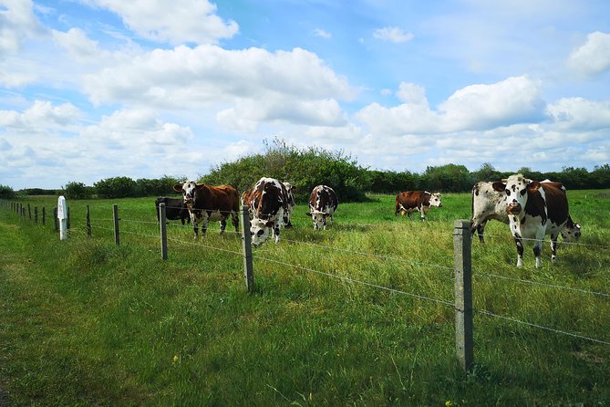 Normandy Battlefields Tour - American Sites (A3) - Booking Information and Recommendations