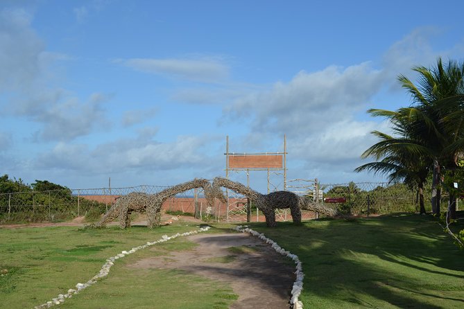 Pipa Beach Tour - Leaving Natal - Accessibility and Health Considerations