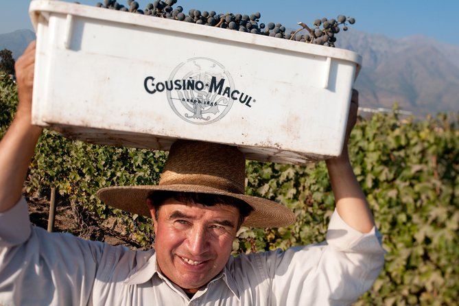 Premium Wine Tour in Viña Cousiño Macul Spanish Official - Taking in Chilean Wine Culture