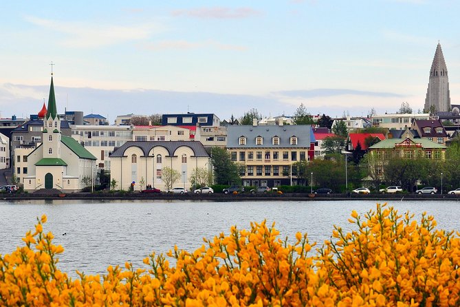 Reykjavik Walking Tour - Walk With a Viking - Participant Experience