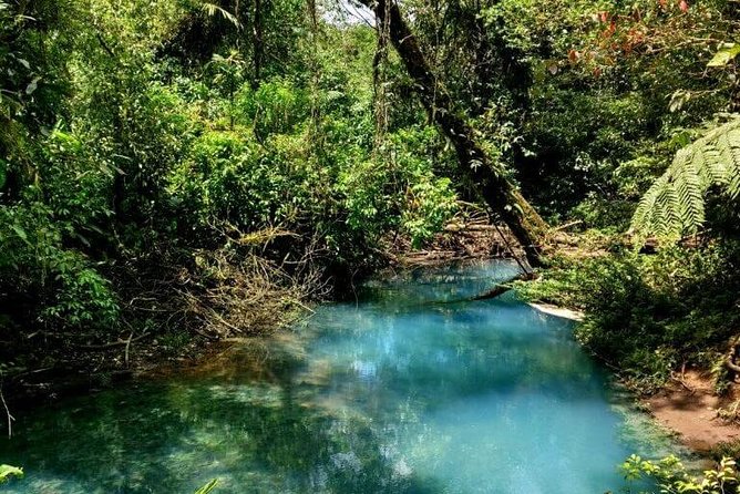 Rio Celeste Full-Day Tour From La Fortuna - Getting to Rio Celeste