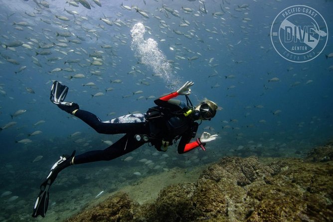 Scuba Diving for Non-Certified Divers at Catalina Islands & North Island - CR - Ensuring Accessibility and Safety