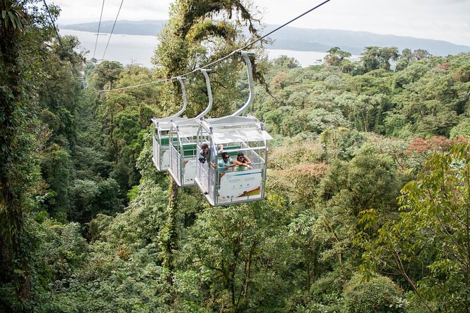 Sky Adventures Park Zipline Course and Aerial Tram in Arenal Park - Exploring the Arenal Rainforest