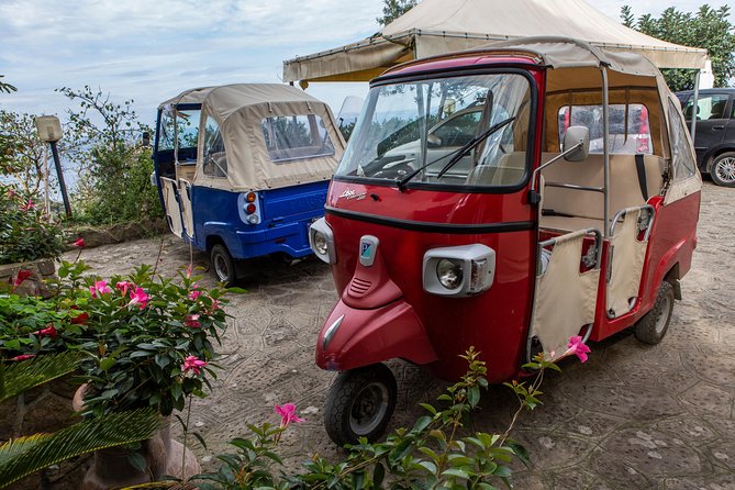 Sorrento Farm by Tuk Tuk: Cheese, Limoncello & Hands-On Pizza - Traveler Reviews and Highlights