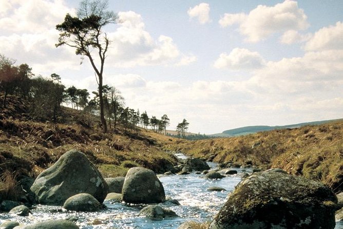 The Original Award Winning Wild Wicklow Tour Incl. Glendalough - Experience and Feedback