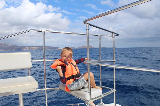 Whale and Dolphin Watching Catamaran With Transfer and Buffet - Comfort and Amenities