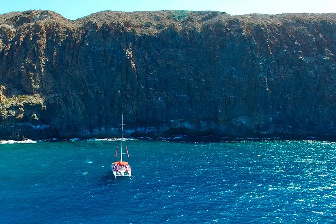 Whales Listening Eco-Catamaran Tour With Food Tasting - Onboard Amenities