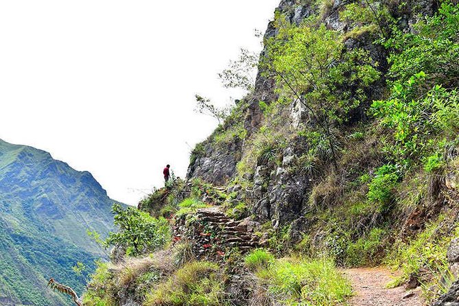 4-Day Inca Jungle Adventure to Machu Picchu Including Mountain Biking, Rafting and Zipline - Inclusions and Accommodations