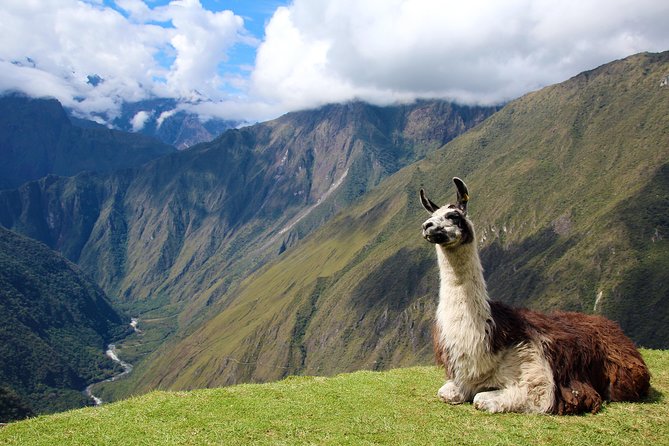 4 Day - Inca Trail to Machu Picchu - Group Service - Health and Fitness Requirements