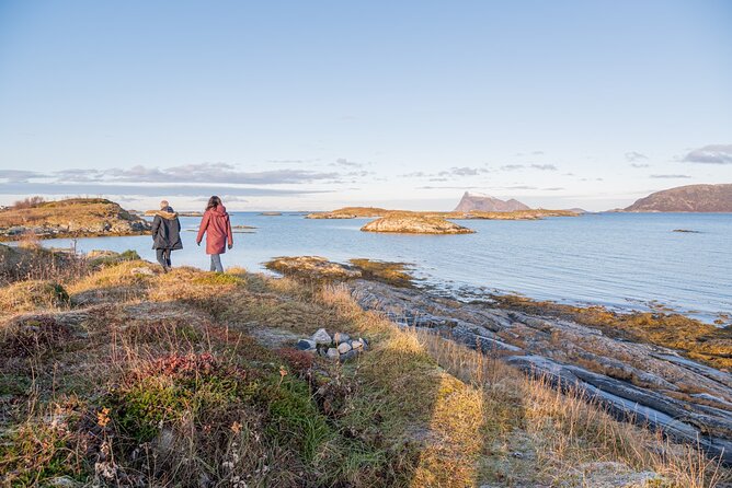 Arctic Roadtrip: Fjords With Scenic Picnic | Sightseeing - Recommendations and Additional Information