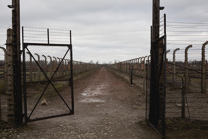 Auschwitz-Birkenau Best Value Shared Tour - Customer Feedback and Sentiment