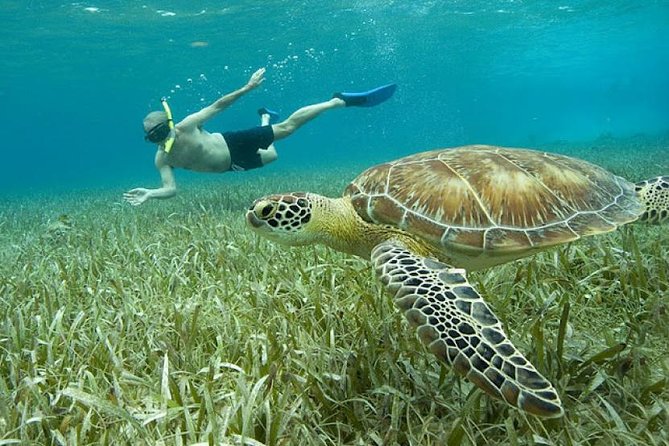 Belize Hol Chan Marine Reserve & Shark Ray Alley Snorkel Tour - Ambergris Caye - Weather Considerations